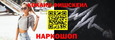 крисы Пенза