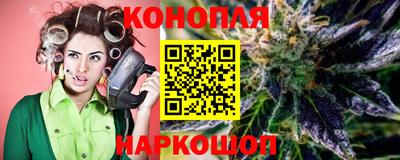 крисы Пенза
