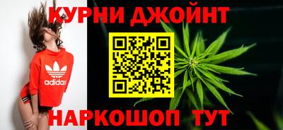 крисы Пенза