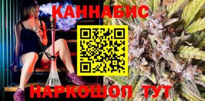крисы Пенза