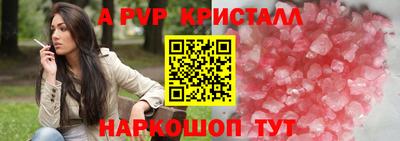 крисы Пенза
