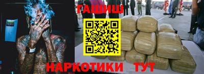 крисы Пенза